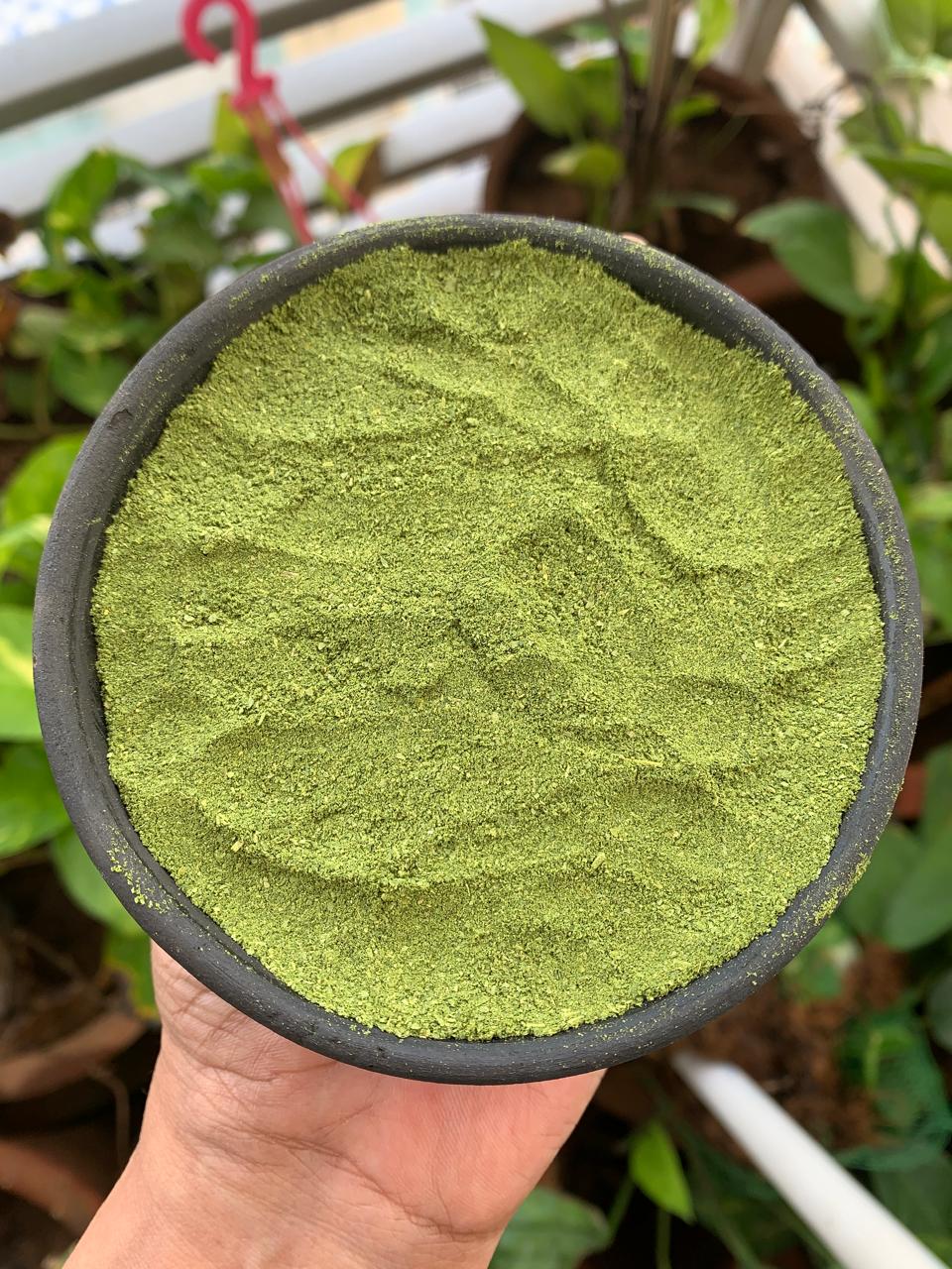 Moringa Oleifera Leaves Powder